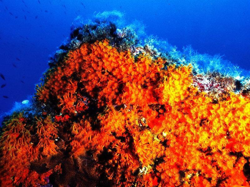 Vila Residenza Bea Flumini di Quartu Pokoj fotografie